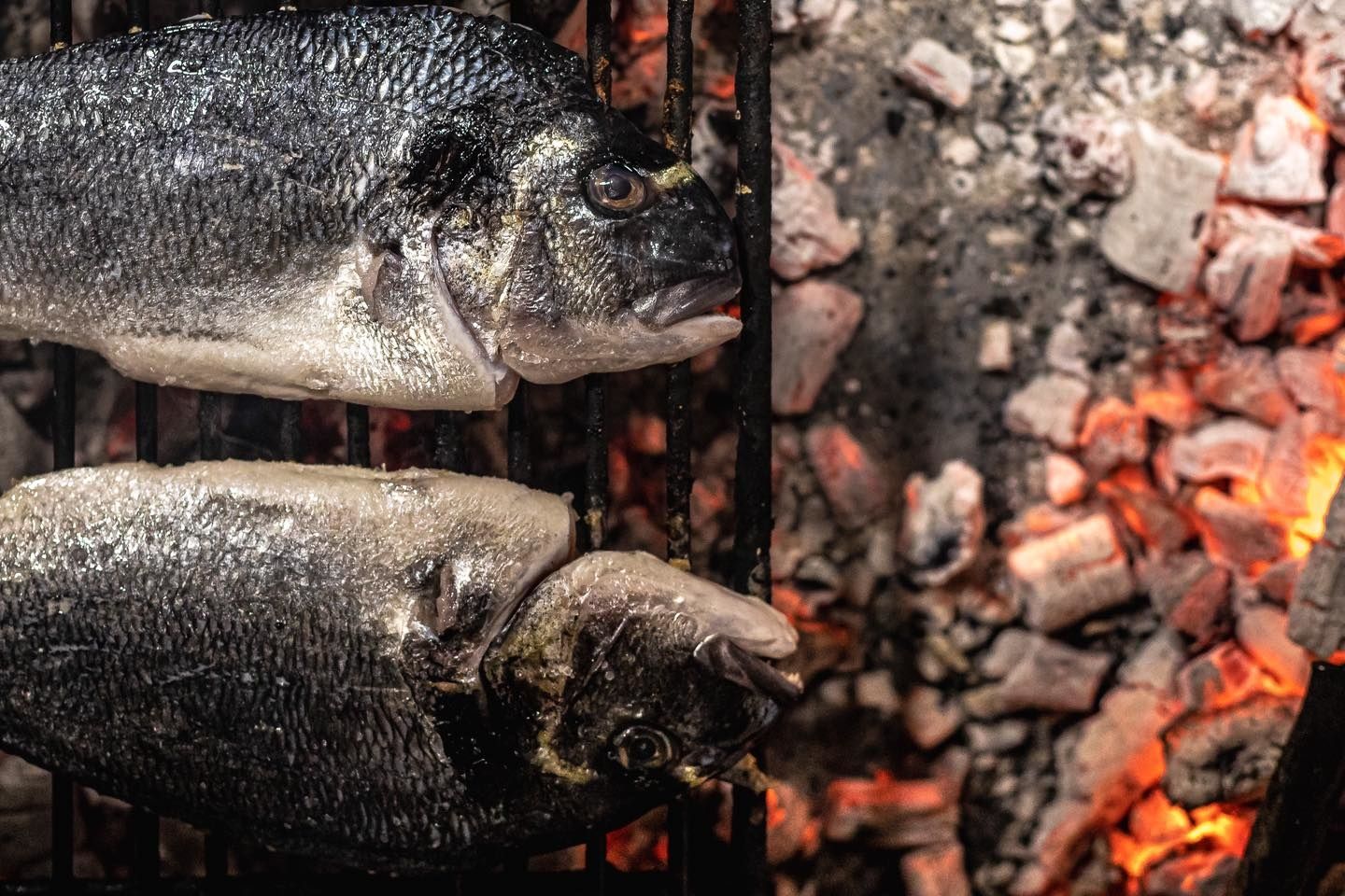 Le goût authentique de la mer, sublimé par le feu         n______________nn    ️ Réservation au...