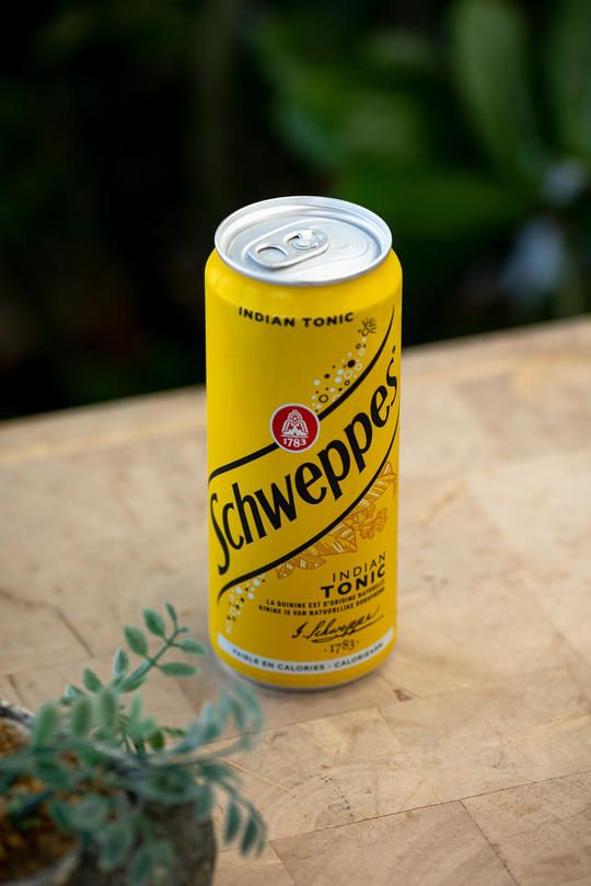 Schweppes Tonic 33cl